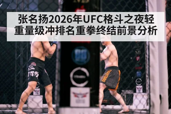 MMA cage fight night